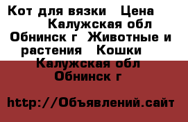 Кот для вязки › Цена ­ 2 000 - Калужская обл., Обнинск г. Животные и растения » Кошки   . Калужская обл.,Обнинск г.